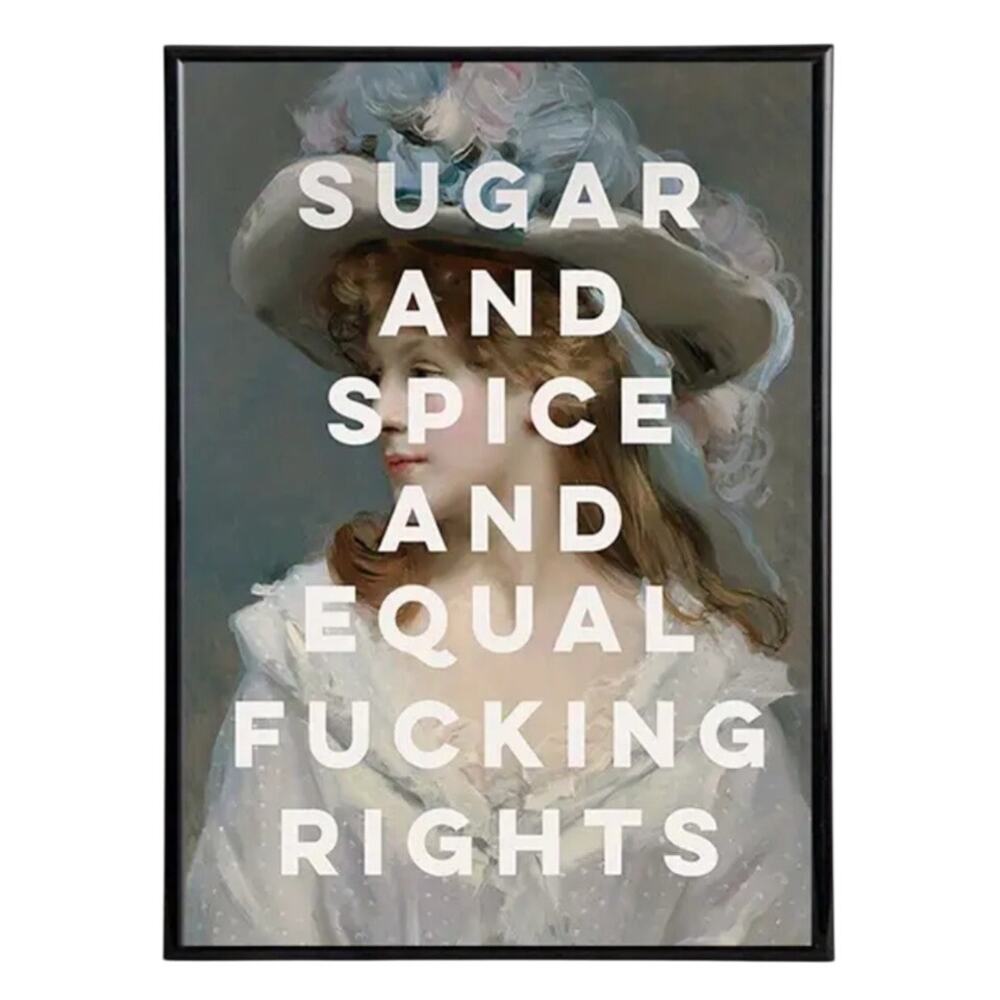 Women's Rights Canvas Art Print 12"×16" Victorian Lady Equality Autonomy Sarcasm